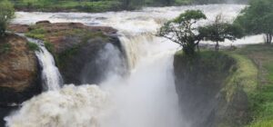 Chutes d’eau puissantes entourées de végétation en Afrique