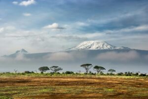 Vue panoramique du Kilimandjaro enneigé et de la savane kényane